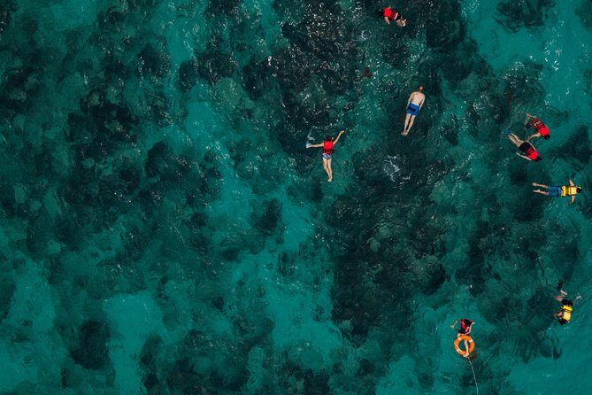 Tobago Buccoo Reef Glass Bottom Boat Tour - Stop 2: Nylon Pool—walking on sand in the middle of the sea