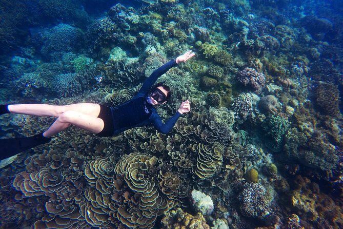 Tobago Buccoo Reef Glass Bottom Boat Tour - Who this tour suits best (and who might want a different plan)