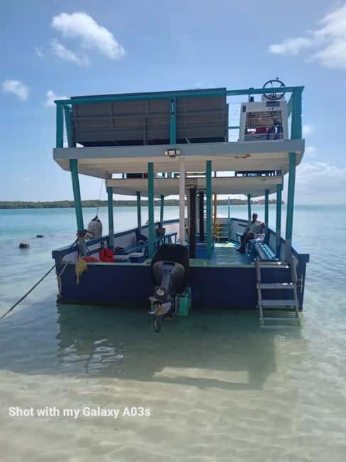 Tobago: Buccoo Reef Marine Park Glass Bottom Boat Tour - The Big Reason This Tour Works: You See the Reef Two Ways