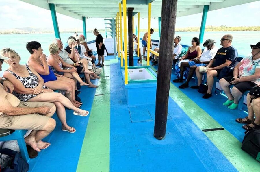 Tobago: Buccoo Reef Marine Park Glass Bottom Boat Tour - Nylon Pool: The Shallow Sandbar That People Talk About