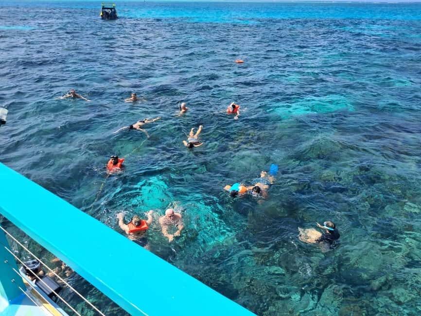 Tobago: Buccoo Reef Marine Park Glass Bottom Boat Tour - Getting On Board: Timing, Meeting Points, and What’s Actually Included