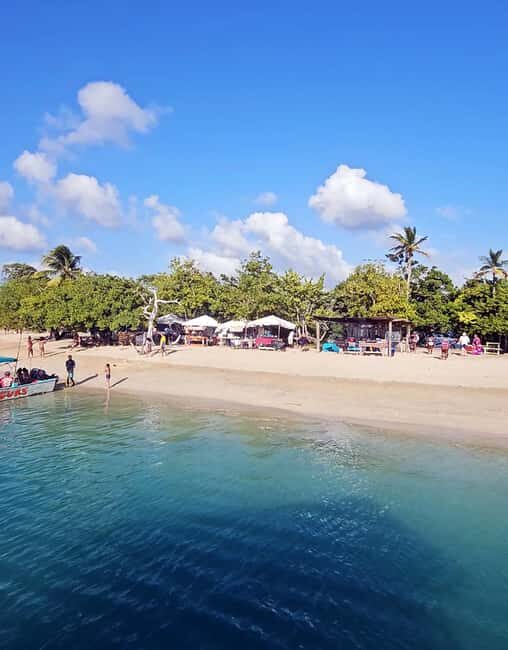 Tobago: Coral Reef Boat Tour with BBQ and Transfer - Price and value: Is $100 per person fair for this package?