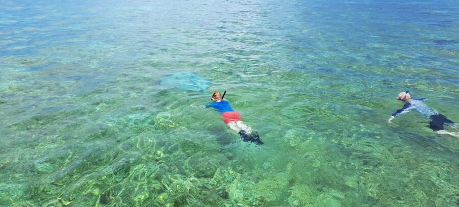 Tobago: Coral Reef Boat Tour with BBQ and Transfer - Coral Gardens snorkeling: What to expect and what to watch for