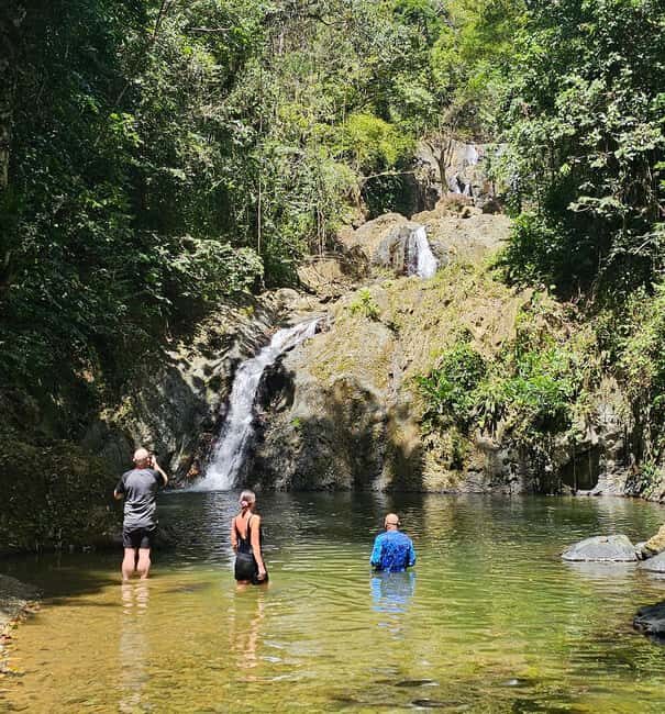 Tobago: Half Day Atlantic Coast Tour with Transfer - Atlantic Coast in Miniature: Why This Half-Day Works