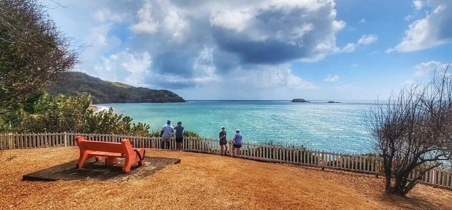 Tobago: Half Day Atlantic Coast Tour with Transfer - Argyle Waterfall: The 3-Tier Swim Stop You’ll Remember