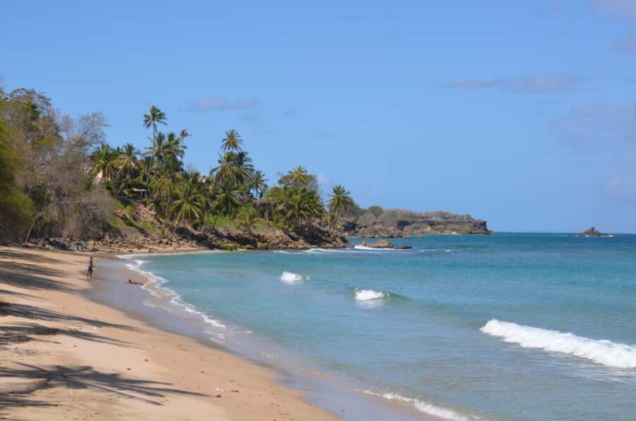 Tobago: Half-Day Highlights Tour - Key highlights to look forward to