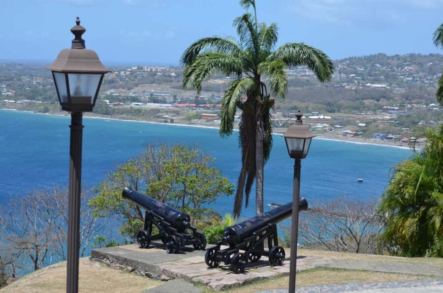 Tobago: Half-Day Highlights Tour - Why this 3-hour Tobago tour works