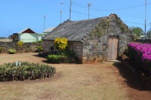 Tobago: Half-Day Highlights Tour - Pickup, timing, and how the day starts