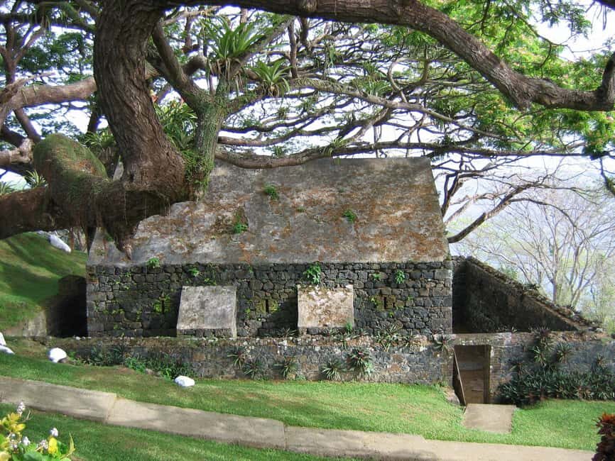 Tobago: Half-Day Highlights Tour - Scarborough city tour: history you can actually connect to
