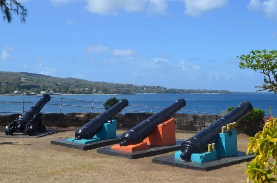 Tobago: Half-Day Highlights Tour - Botanical Gardens: a nature break that still fits the tour