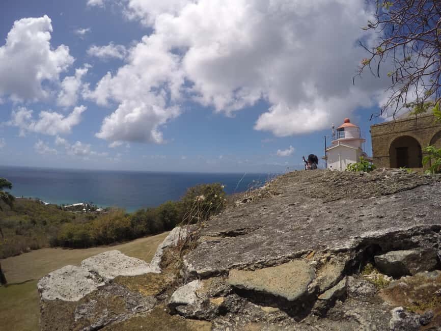 Tobago: Half-Day Highlights Tour - Betty Stiven’s mystery stops: what to look for at each site