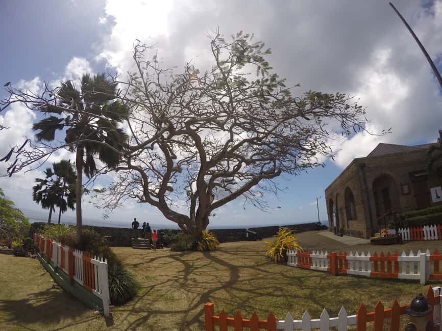 Tobago: Half-Day Highlights Tour - Store Bay beach time: crafts, food, and a real break
