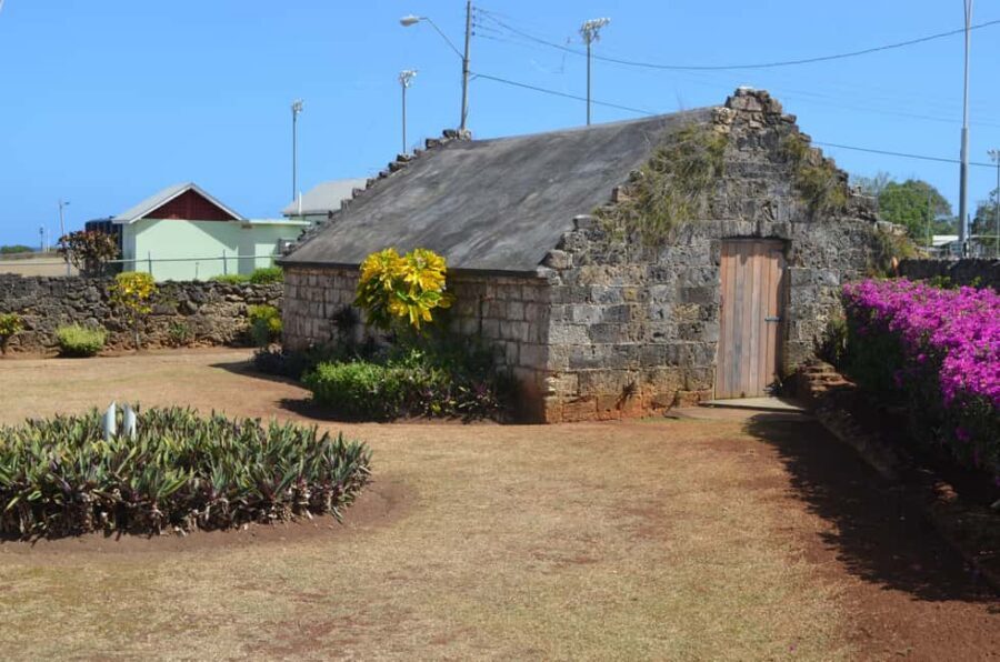 Tobago: Half-Day Highlights Tour - Pickup, timing, and how the day starts