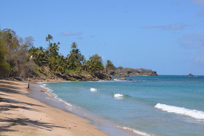Tobago Island Tour - Key highlights worth penciling in