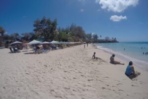 Tobago Island Tour - Northside Road and the Village Photo Stops That Matter