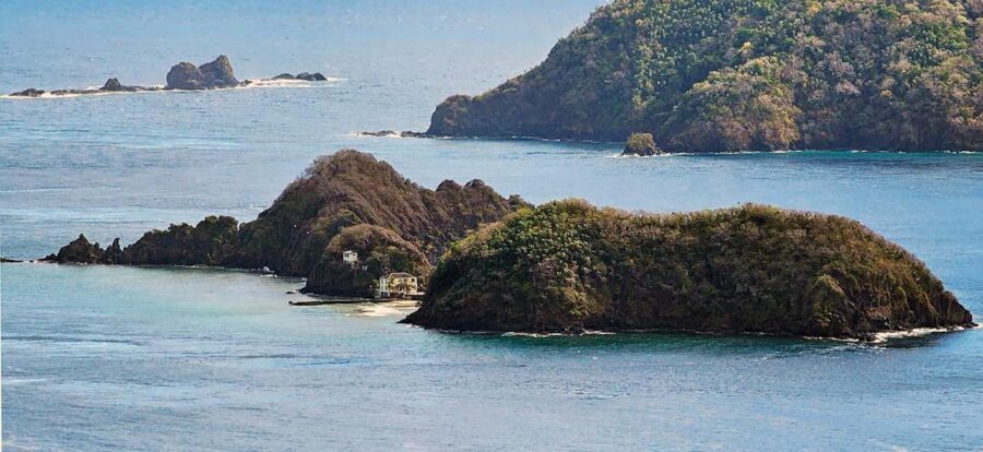 Tobago: Little Tobago Bird Sanctuary Visit and Boat Tour - Key highlights worth planning around
