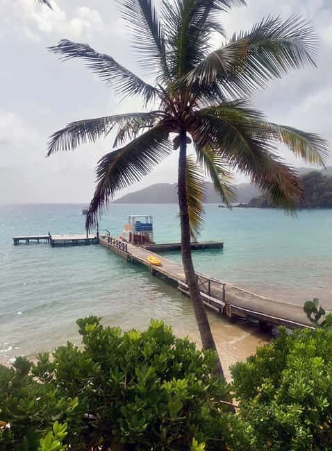 Tobago: Little Tobago Bird Sanctuary Visit and Boat Tour - Speyside glass-bottom boat: coral viewing with less friction