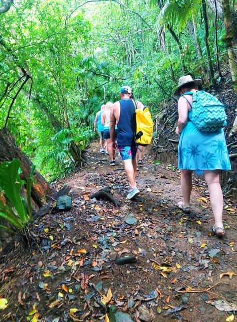 Tobago: Little Tobago Bird Sanctuary Visit and Boat Tour - Who this tour suits (and who should think twice)