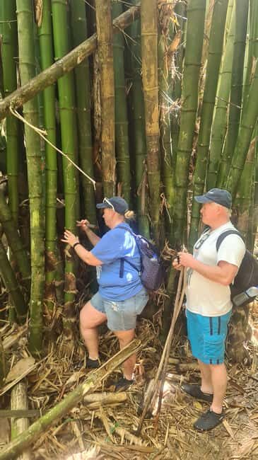 Trinidad: Avocat Waterfall and Maracas Bay Beach Tour - Guide Power: Why Dominic Makes the Day Feel Personal