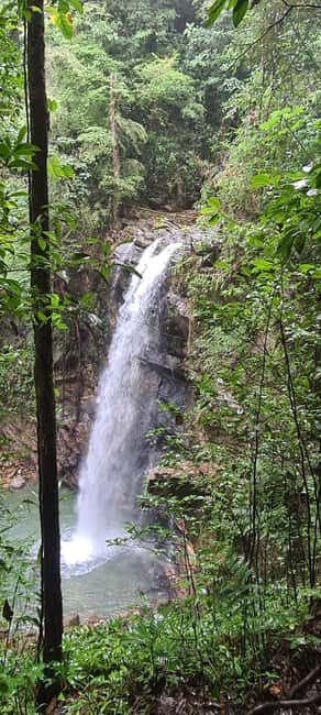 Trinidad: Avocat Waterfall and Maracas Bay Beach Tour - Practical Tips So Your Day Feels Easy