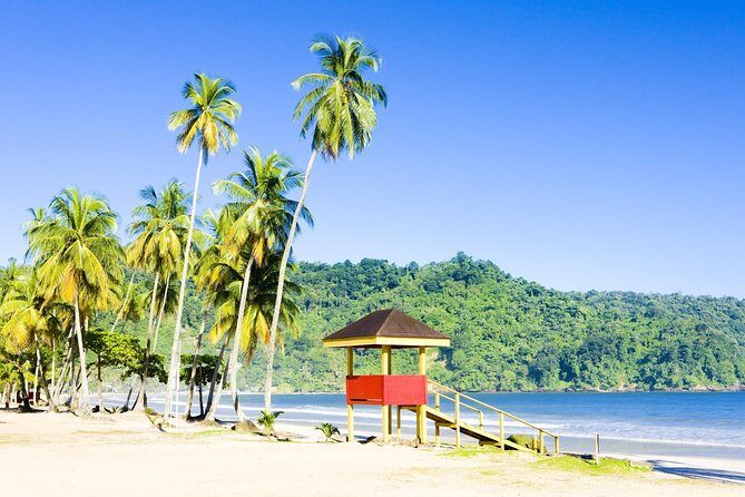 Trinidad Highlights and Scenic Drive Tour - Key Highlights You’ll Actually Notice