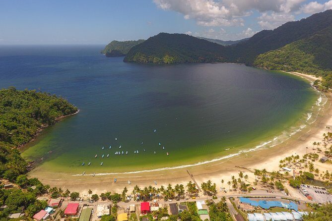 Trinidad Highlights and Scenic Drive Tour - Why This Half-Day Route Works From Port of Spain