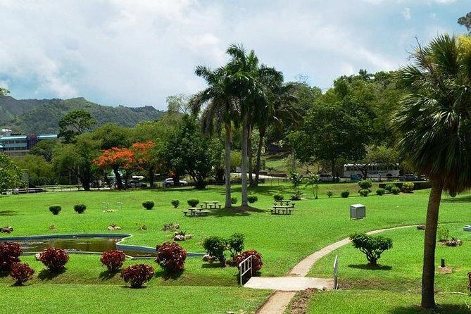 Trinidad Highlights Tour from Port of Spain - Who this tour suits best (and who should rethink it)