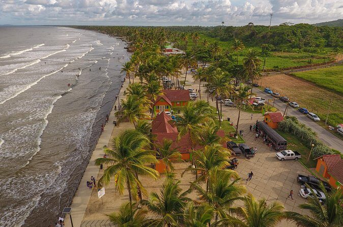 Trinidad Island Circle Tour with Pickup - The Big Trade-Off: A Road Trip With Fewer Long Walks