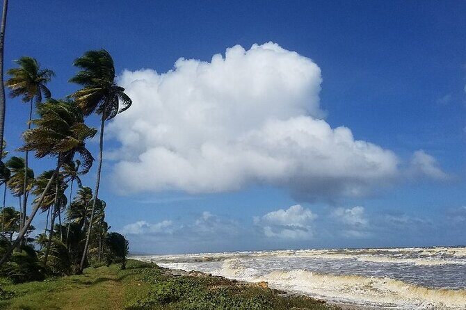 Trinidad Island Circle Tour with Pickup - Price and Value: Is $135 a Good Deal?