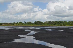 Trinidad Island Sightseeing Tour: Pitch Lake and Chaguanas - La Brea Pitch Lake: the asphalt lake that looks unreal