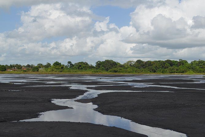 Trinidad Island Sightseeing Tour: Pitch Lake and Chaguanas - La Brea Pitch Lake: the asphalt lake that looks unreal