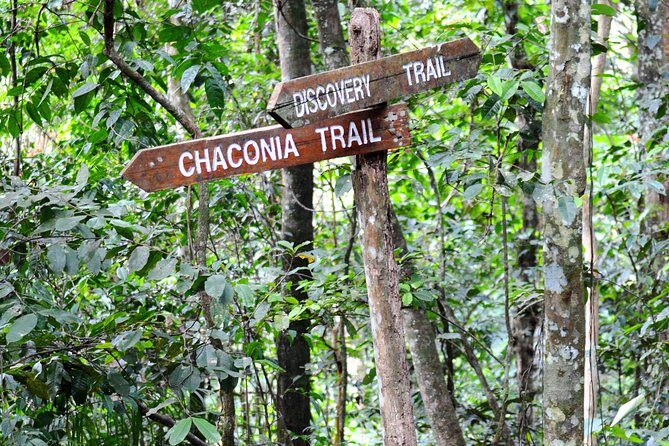 Trinidad Nature and Asa Wright Center Full-Day Tour from Port of Spain - The Guided Walk: Where Birds, Lizards, and Plant Life Show Up