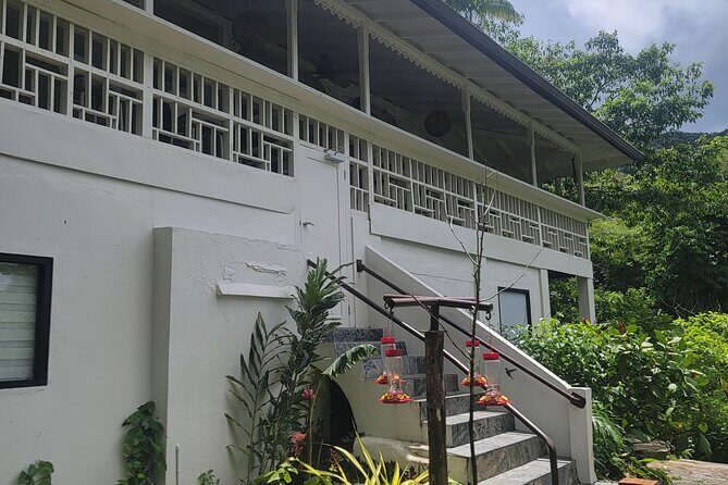 Trinidad Nature and Asa Wright Center Full-Day Tour from Port of Spain - Lunch, Pool Time, and Arima’s Fresh Food Market Option