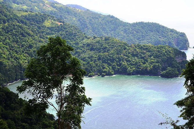 Trinidad Northern Eco-Cultural Full-Day Highlights Tour from Port of Spain - A North Trinidad Day That’s Built for the Right Light