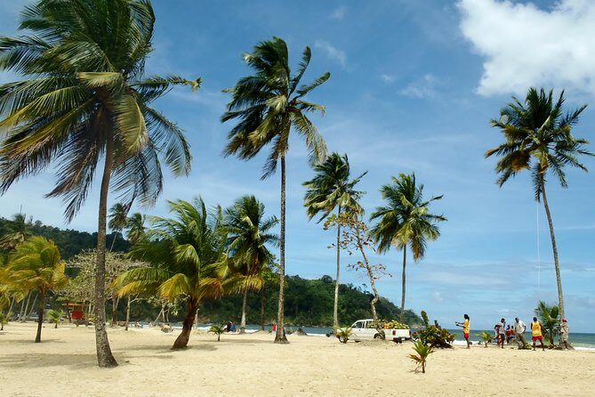 Trinidad Northern Eco-Cultural Full-Day Highlights Tour from Port of Spain - Price and Value: Is $125 Fair for This Mix?