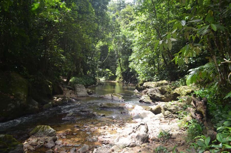 Trinidad: Rainforest Hike to Avocat Waterfall - Maracas Bay lookout to beach time at Maracas Bay