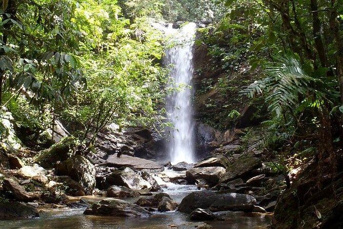 Trinidad Rainforest Hike to Waterfall - Why This Trinidad Waterfall Day Works So Well