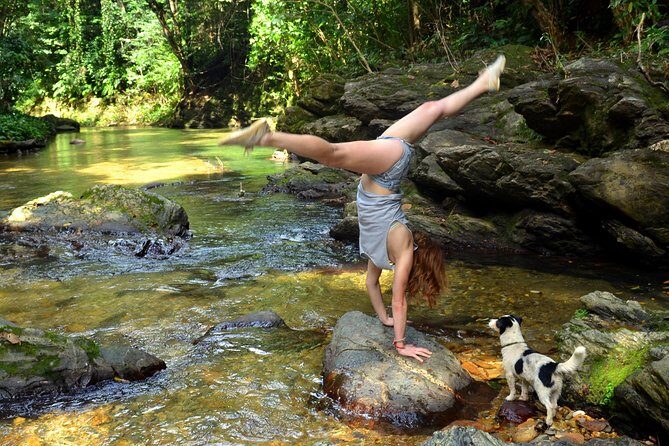 Trinidad Rainforest Hike to Waterfall - Maracas Bay: Fast Views to Set the Mood