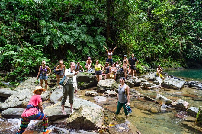 Trinidad Rainforest Hike to Waterfall - Price and Value: Is $115 a Good Deal for This Day?