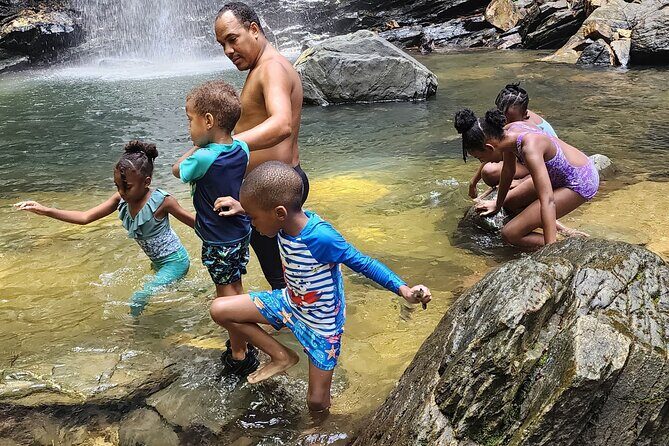 Trinidad Rainforest Hike to Waterfall - Who This Trinidad Waterfall Hike Fits Best