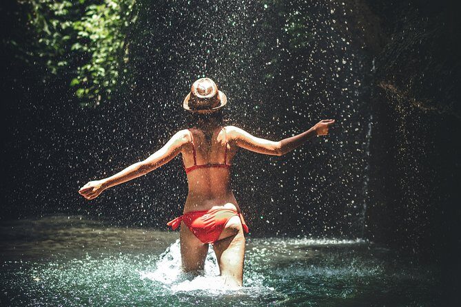 Trinidad Rainforest Hike to Waterfall - Avocat Waterfall: 65 Feet, Swim Time, and the Real Payoff