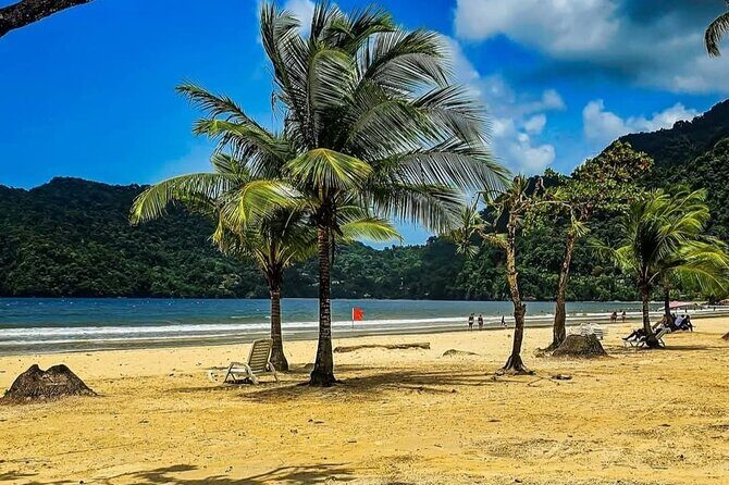 Trinidad True North Coast Excursion - Maracas Bay Lookout and the Bake and Shark Stop