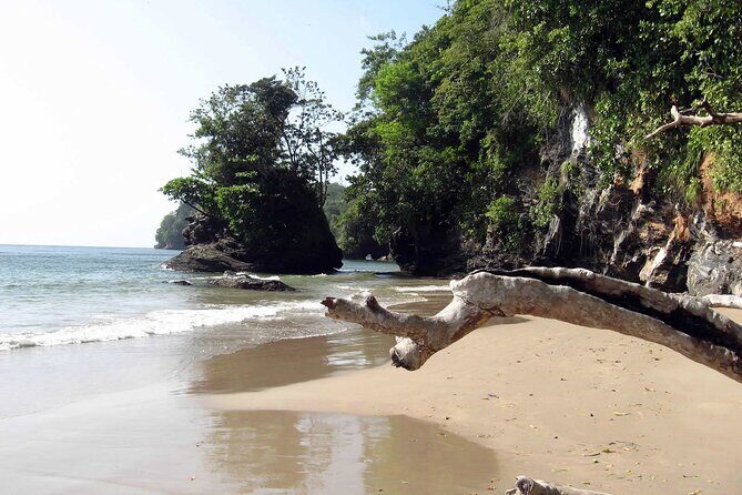 Trinidad True North Coast Excursion - 100 Steps Beach: A Quieter Coastal Break