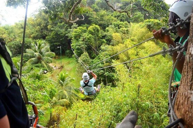 Trinidad Zipline Adventure - Key things to know before you go
