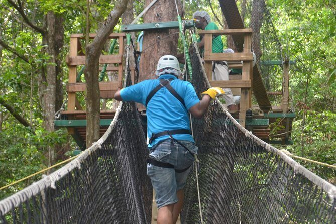Trinidad Zipline Adventure - Treetop course plus Caribbean coastline views