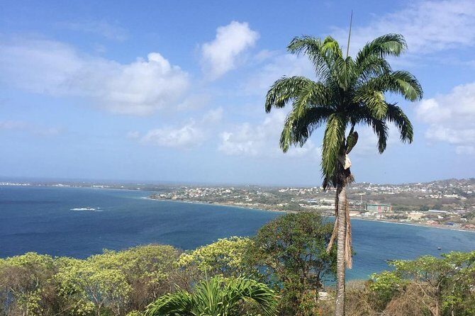 VIP Inclusive Private Tour of Island (Lunch, Drinks + Snorkeling) - Key Highlights You’ll Care About Most