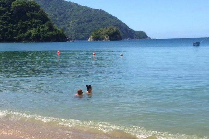 VIP Inclusive Private Tour of Island (Lunch, Drinks + Snorkeling) - VIP Day Pacing: How the 8.5 Hours Works