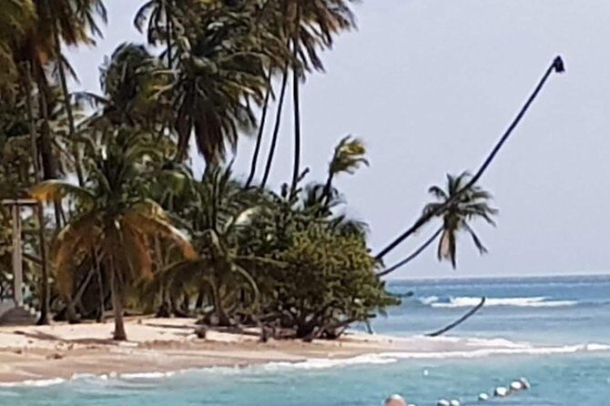 VIP Inclusive Private Tour of Island (Lunch, Drinks + Snorkeling) - Speyside Lookout for Goat Island and Paradise Island