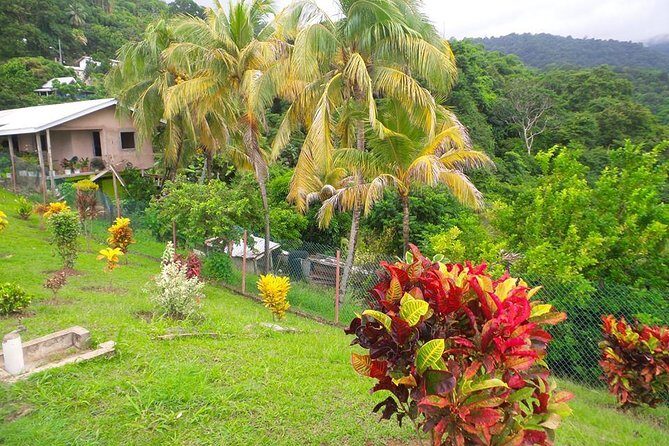 VIP Inclusive Private Tour of Island (Lunch, Drinks + Snorkeling) - Pirate’s Bay Boat Ride and Pink Sand Beach Swim