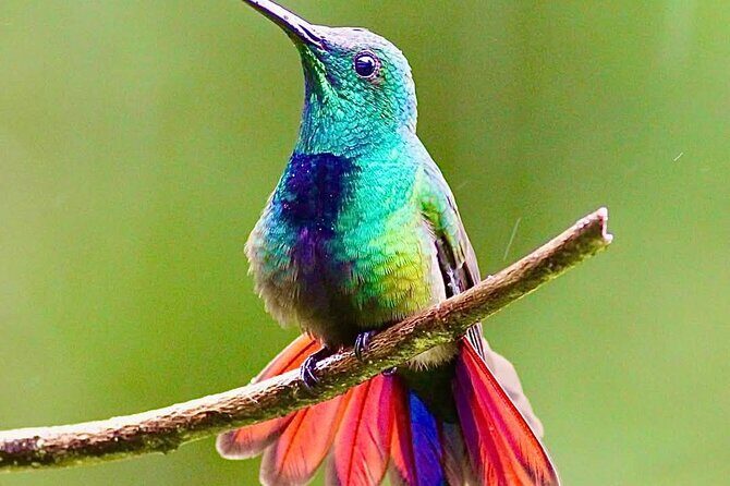 Yerette Home of the Hummingbird - Price and value: is $96.25 worth it?